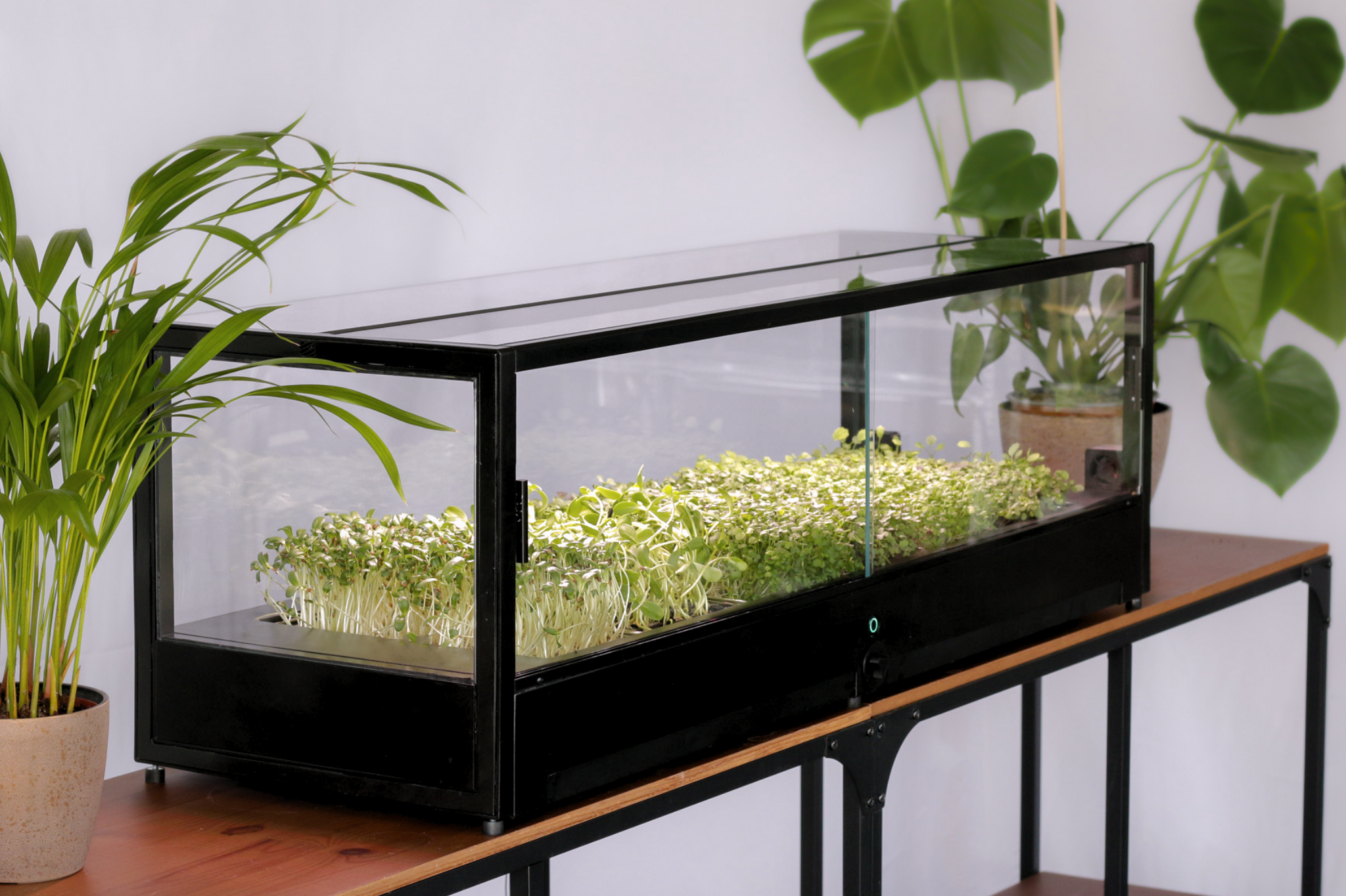 Grovero - Home - 02